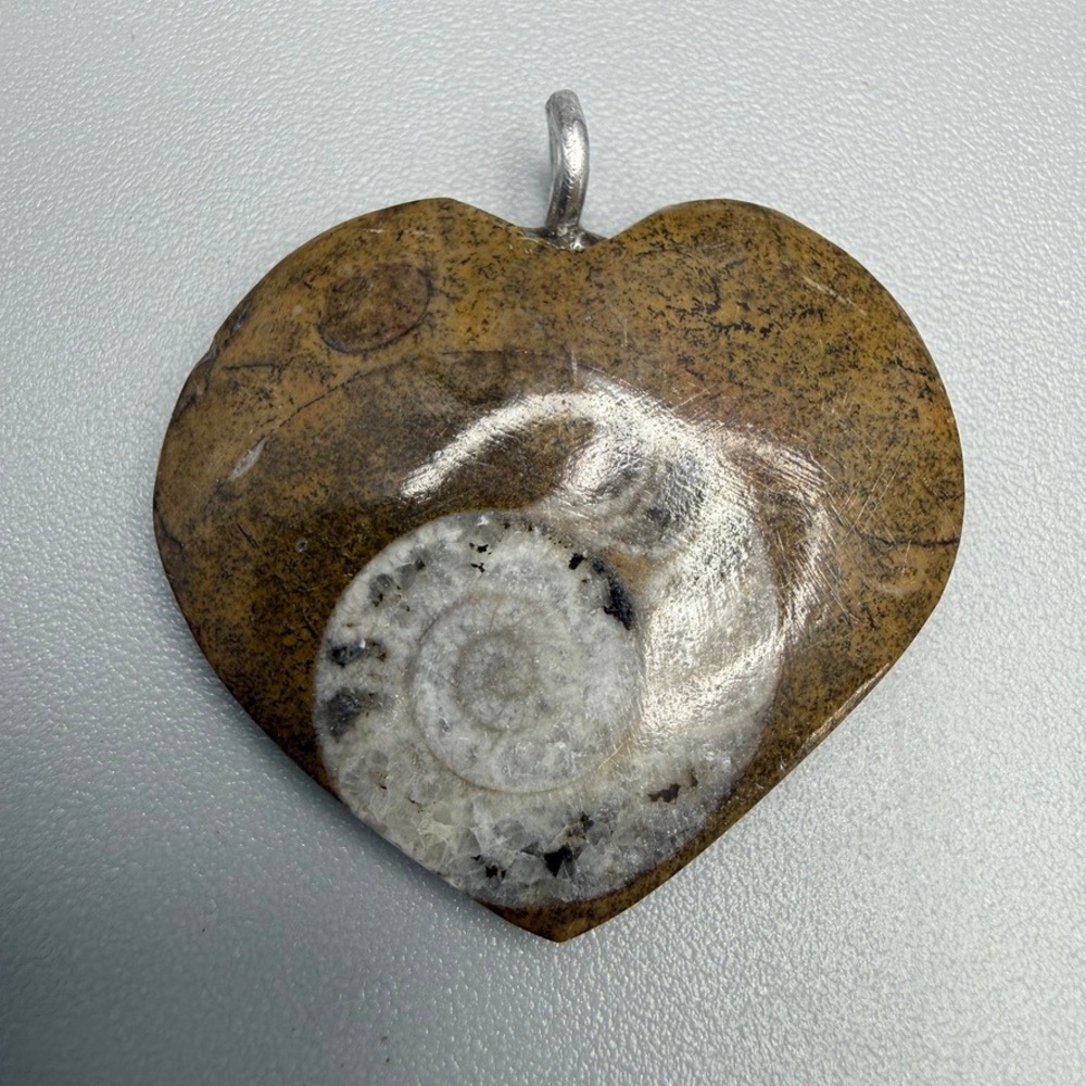 Ammonite Fossil Heart Pendant 1.5"‎